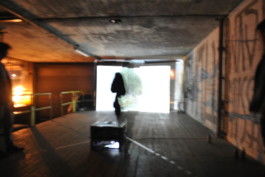 Leonardo Franke Editor