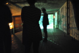 Leonardo Franke Editor