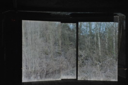 Leonardo Franke Editor