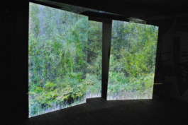 Leonardo Franke Editor