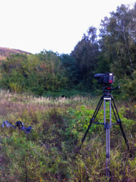 Leonardo Franke Editor