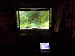 Leonardo Franke Editor