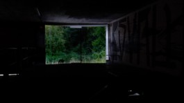 Leonardo Franke Editor