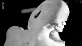 Leonardo Franke Editor