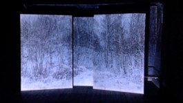 Leonardo Franke Editor