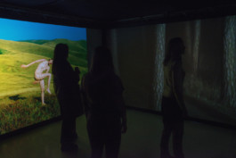 Leonardo Franke Editor