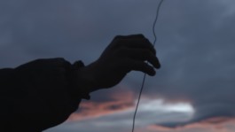 Leonardo Franke Editor