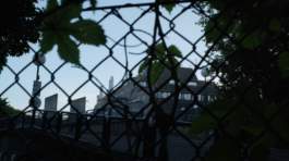 Leonardo Franke Editor